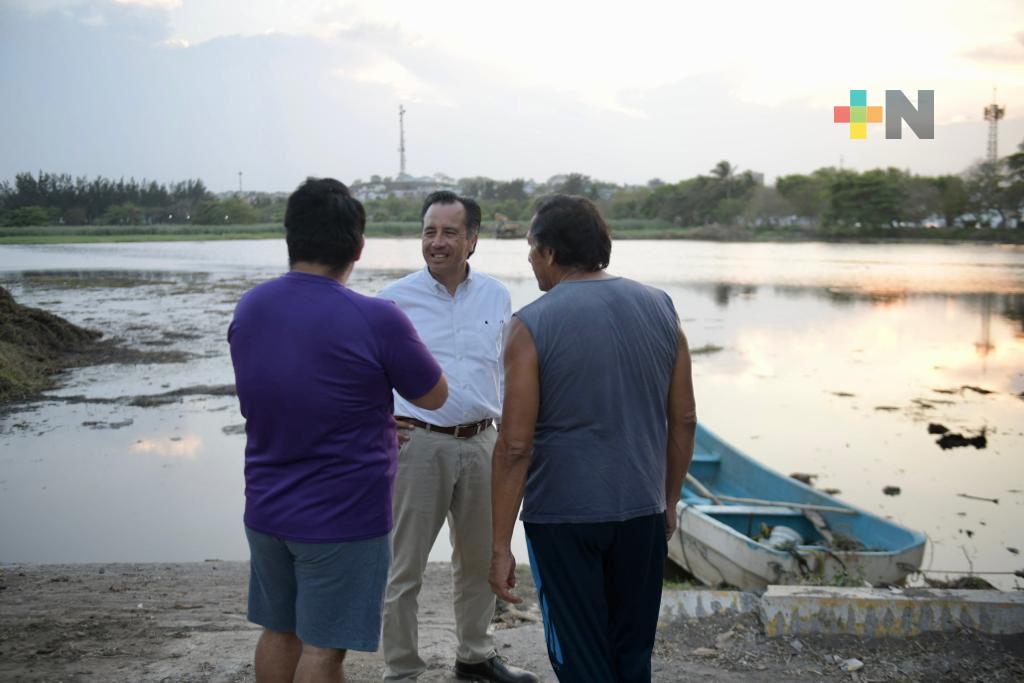 Antes de limpieza, con retiro de lirio vuelve fauna a laguna Lagartos: Gobernador