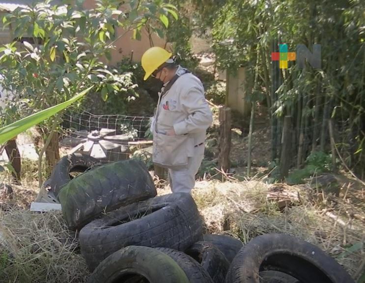 En Coatepec implementan campaña para prevenir dengue