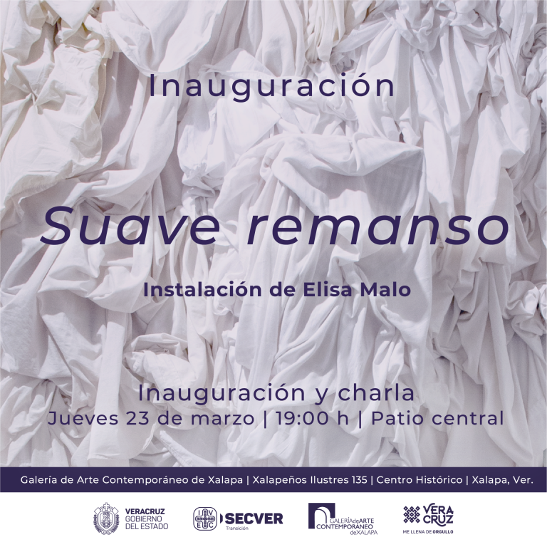 Presenta GACX la exposición Suave remanso, obra de Elisa Malo