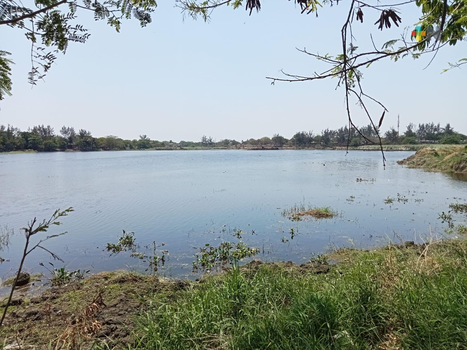 Ciudadanos expresan beneplácito con avances en rescate de laguna Lagartos