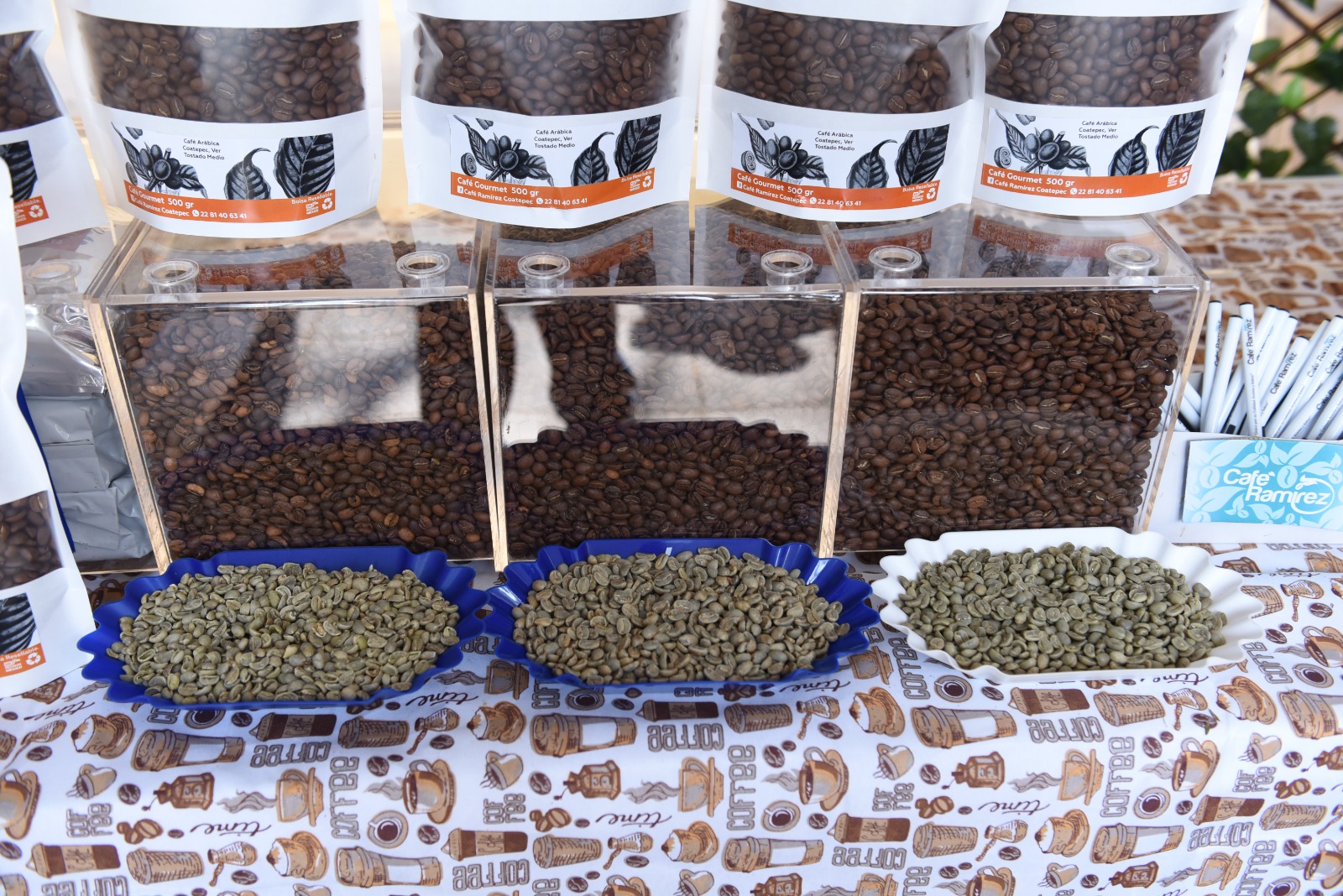 Café, cultura y diversión en el parque Juárez