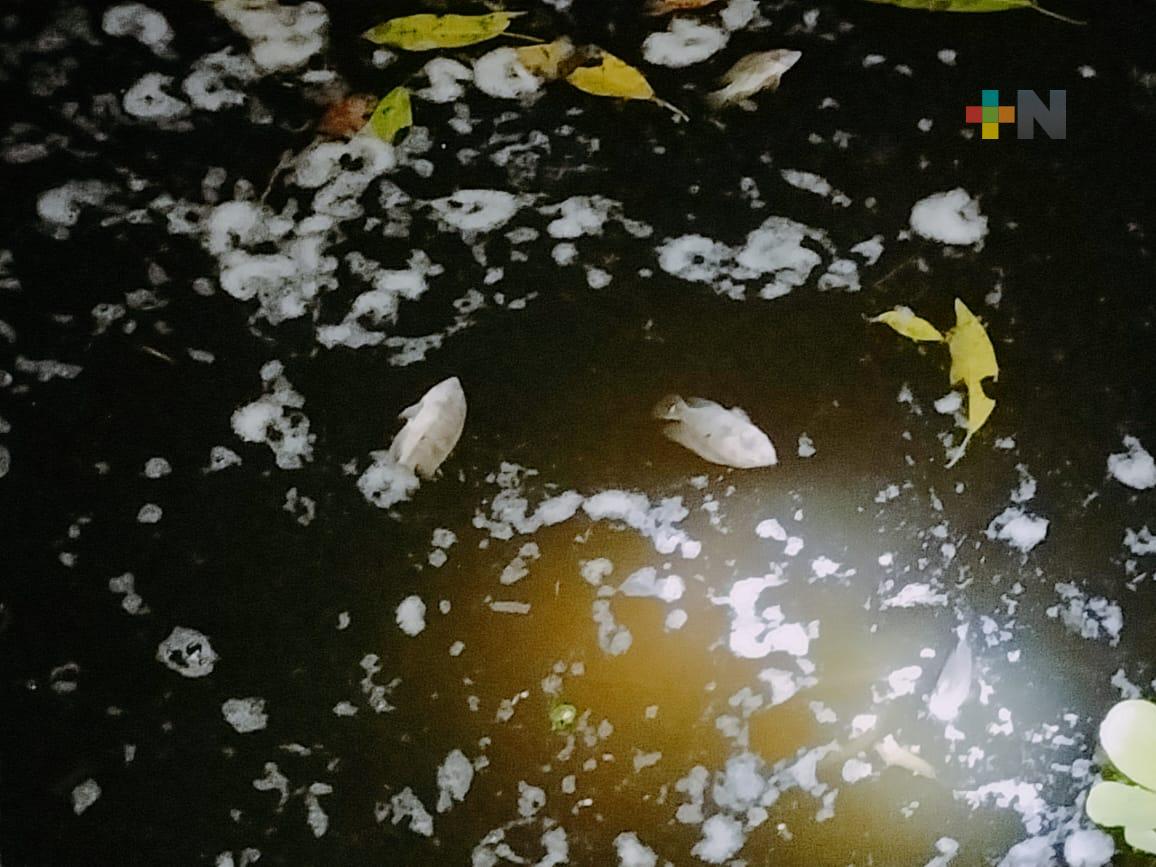 Acusan a empresa Citrofrut por mortandad de peces en arroyo de Nuevo Faisán