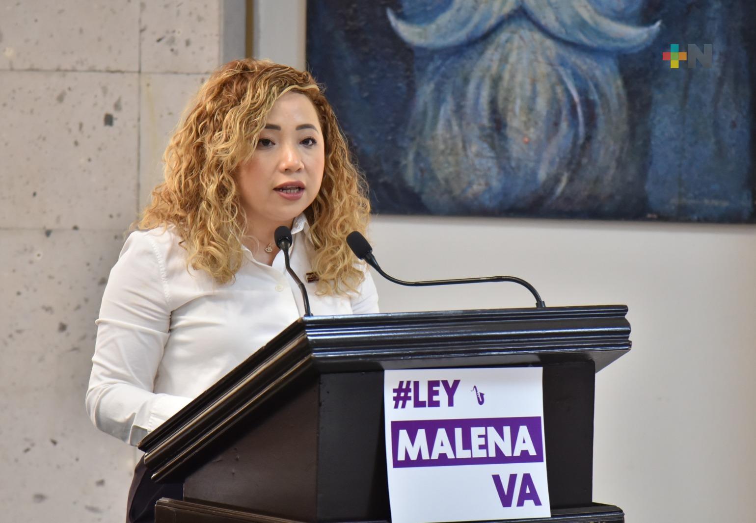 Propone diputada Itzel López tipificar la Violencia Ácida