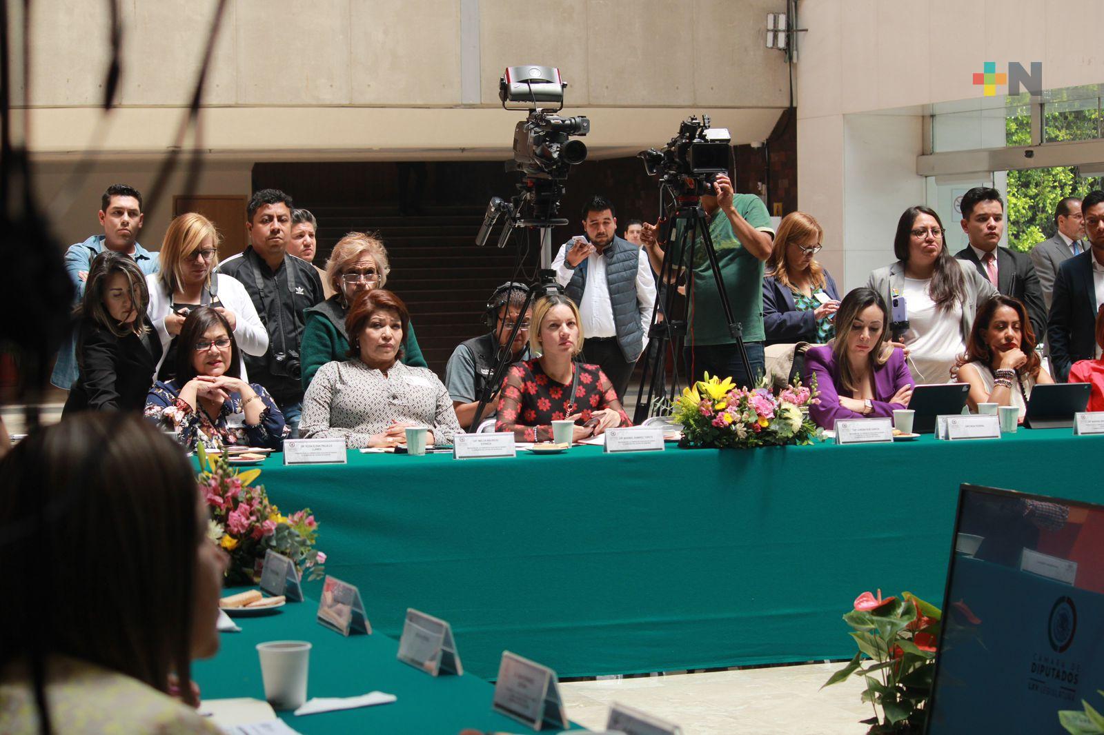 Participa diputada en reunión de presidentas de comisiones de género del país