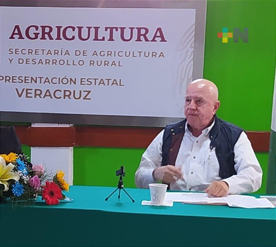 Producción para el Bienestar con mil 200 mdp para apoyos directos en Veracruz