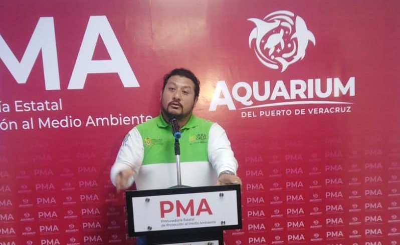 PMA trabaja en recuperación de sistemas lagunares de Veracruz