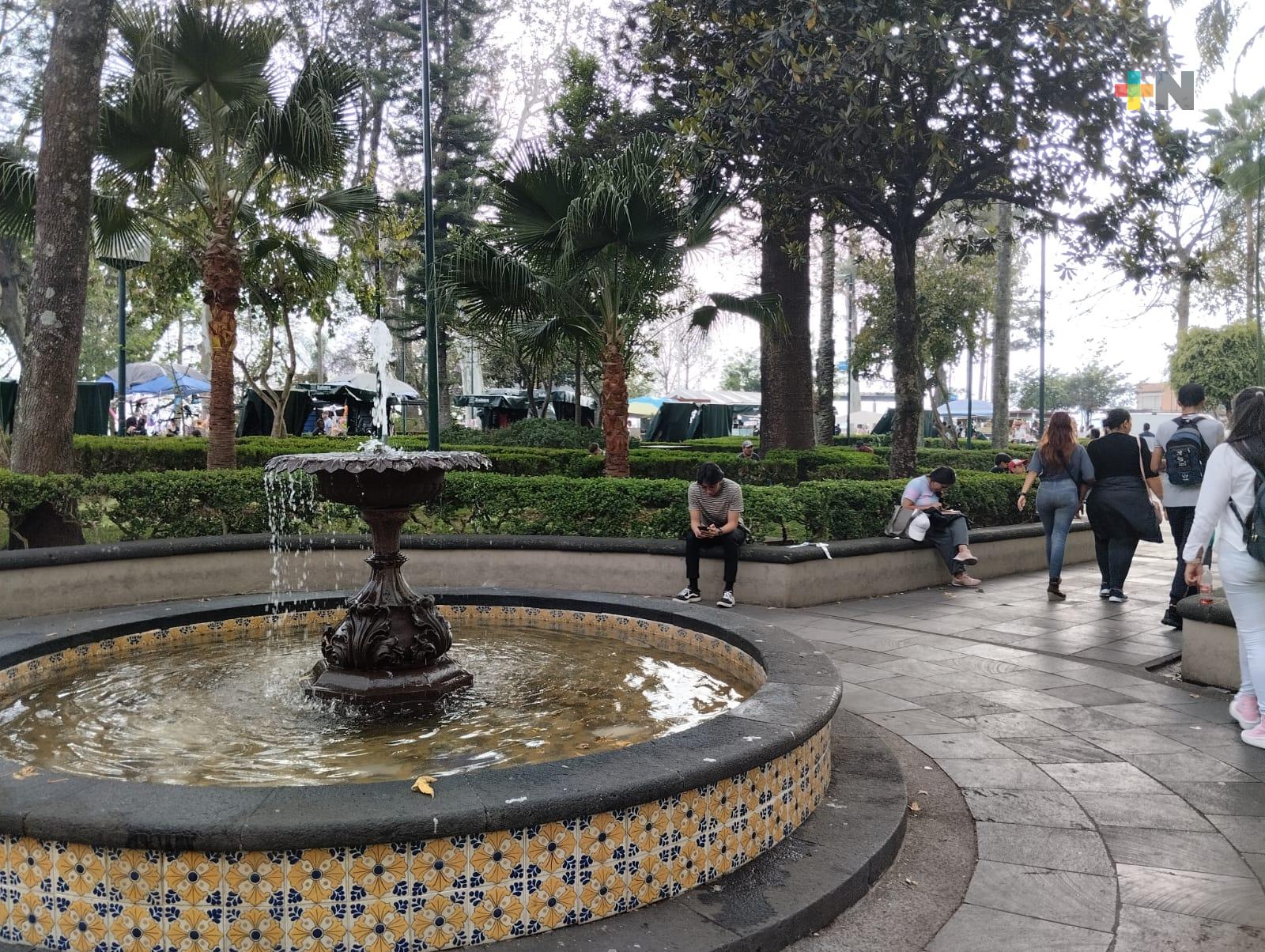 Algunas casetas del parque Juárez se moverían para evitar riesgos por caída de árboles