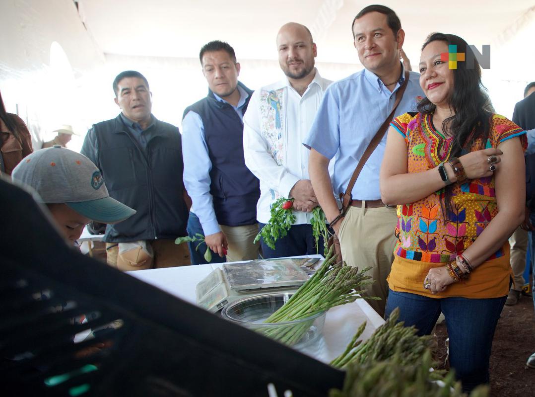 SEP fomenta conciencia ambiental en  nuevos contenidos de los libros de texto gratuitos