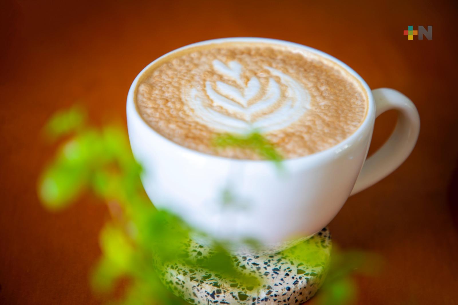 Especialistas del INER despejan mitos y realidades sobre la cafeína
