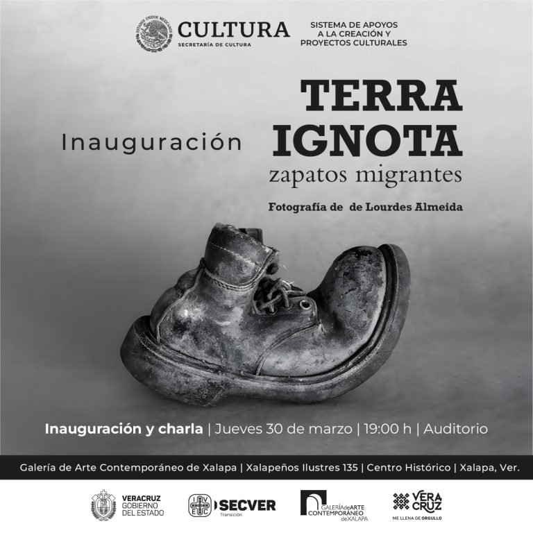 Presenta GACX la exposición Terra Ignota, obra de Lourdes Almeida