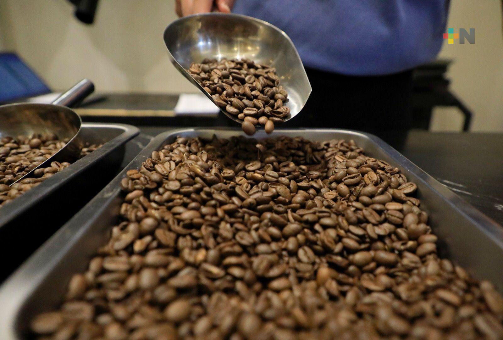 Realizan foro abierto para fortalecer iniciativa sobre fomento de la caficultura, en Congreso local