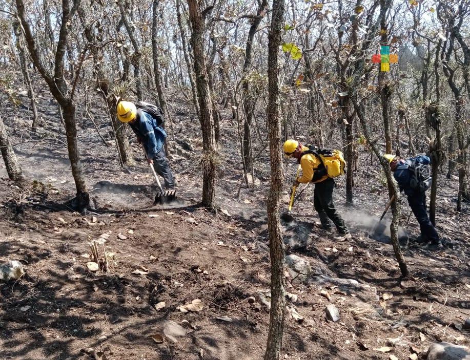 SPC atiende cinco incendios forestales en la entidad