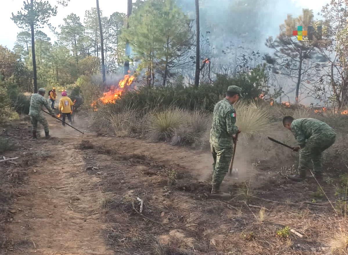 SPC atiende y brinda seguimiento a seis incendios forestales, este viernes