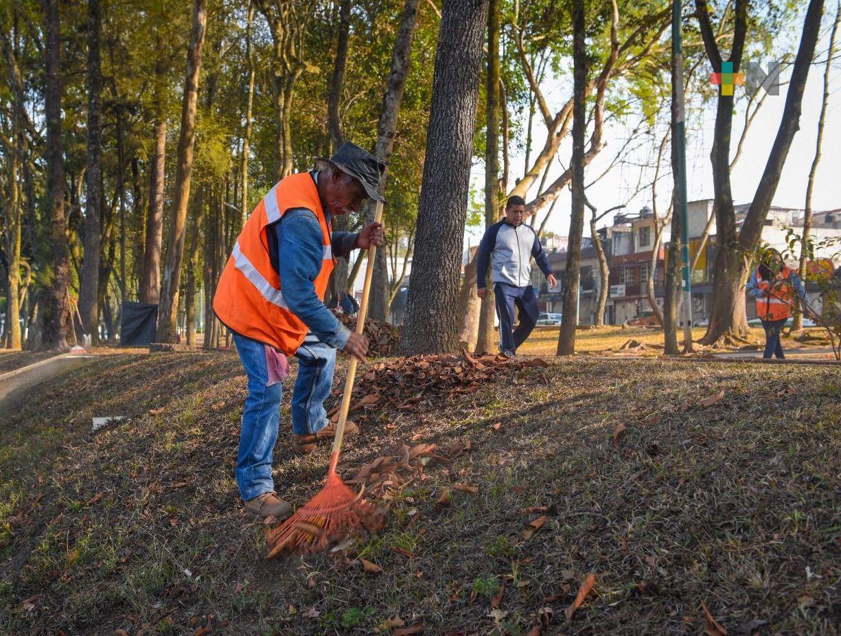 Realiza Medio Ambiente municipal acciones de mantenimiento urbano