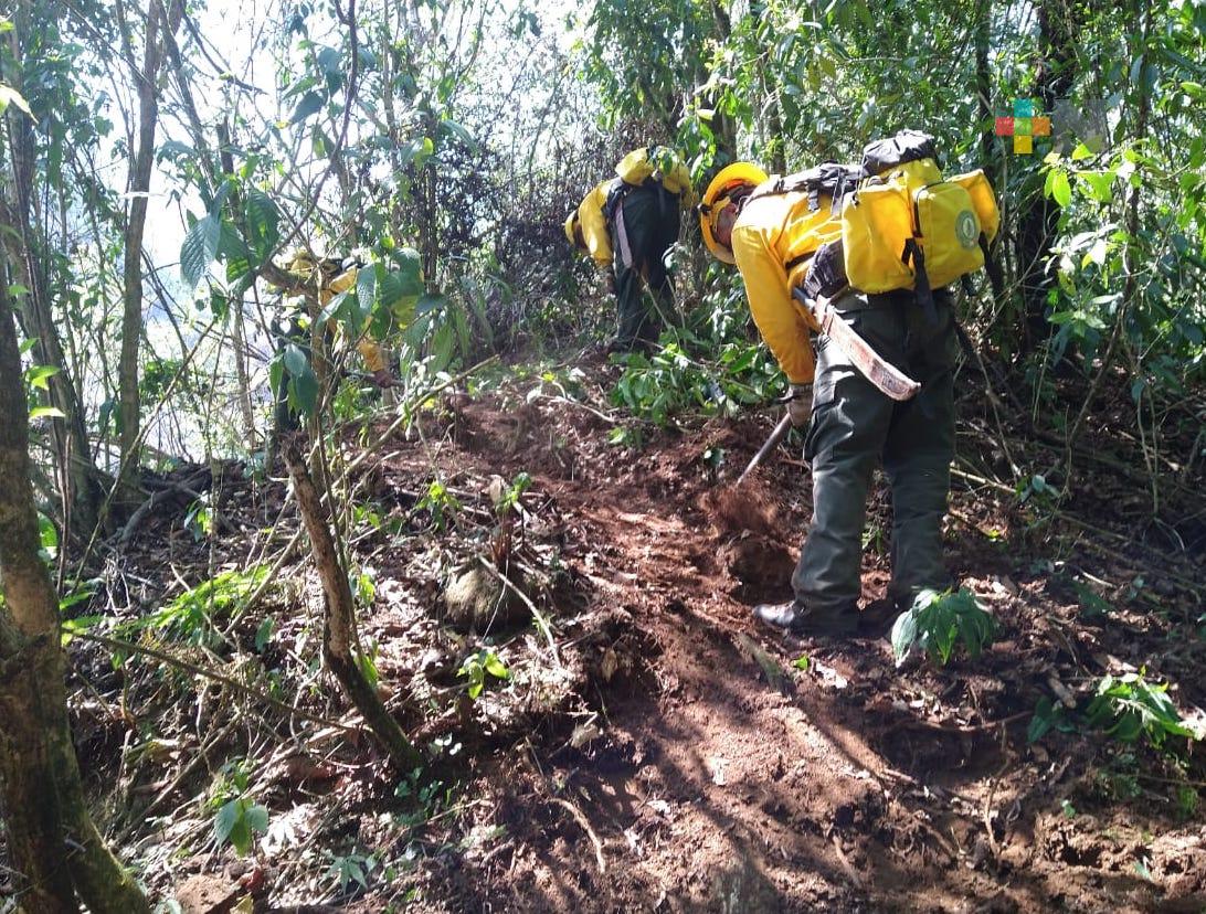 SPC liquida incendio forestal en paraje Cerro de Colesta, de Acajete