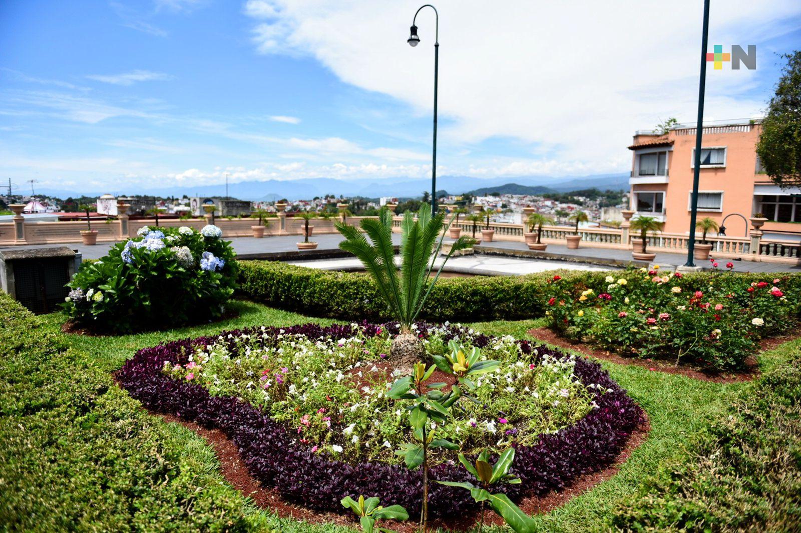 Llama Ayuntamiento a crear frente común por el medio ambiente