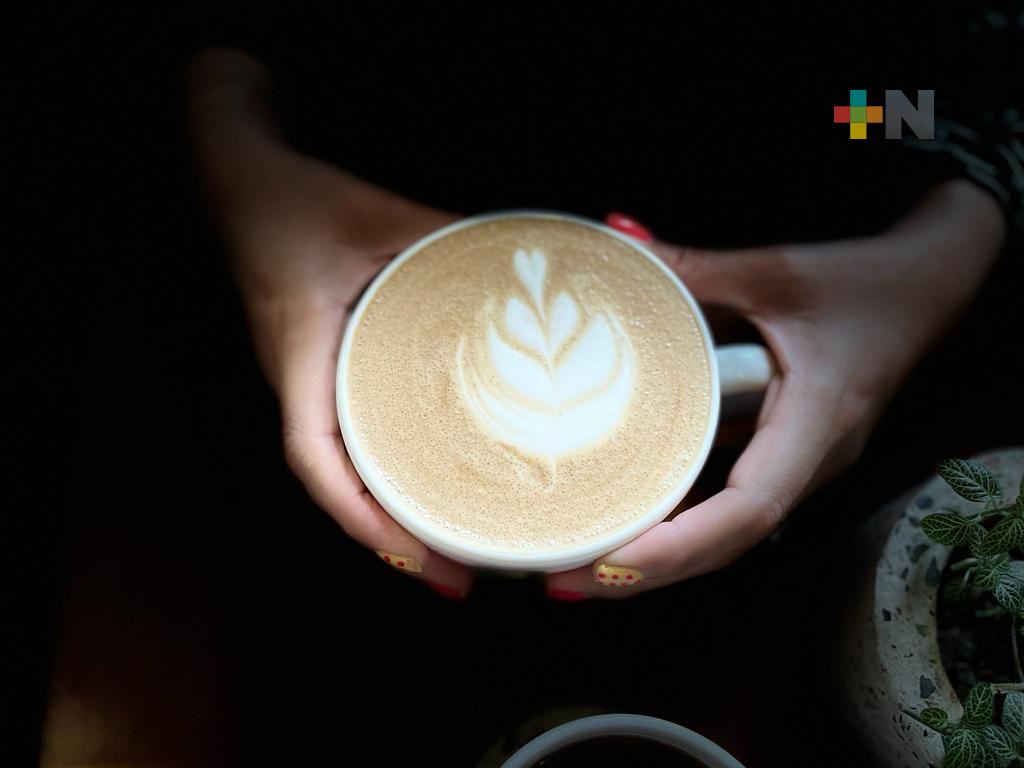Vive la experiencia del café en Xalapa