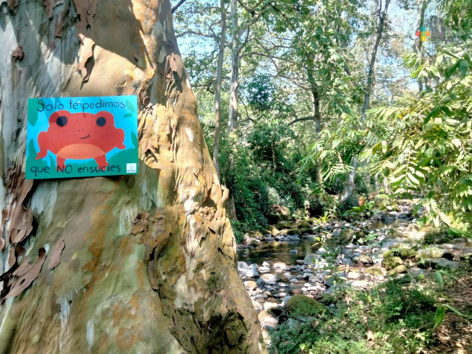 Fidecoagua, CMAS y municipio realizaron limpieza del río Tehuanapan en Coatepec