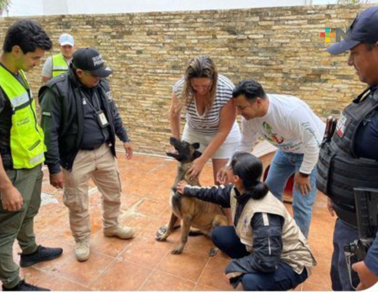 Vecinos de Alvarado denuncia maltrato animal en contra de tres perros
