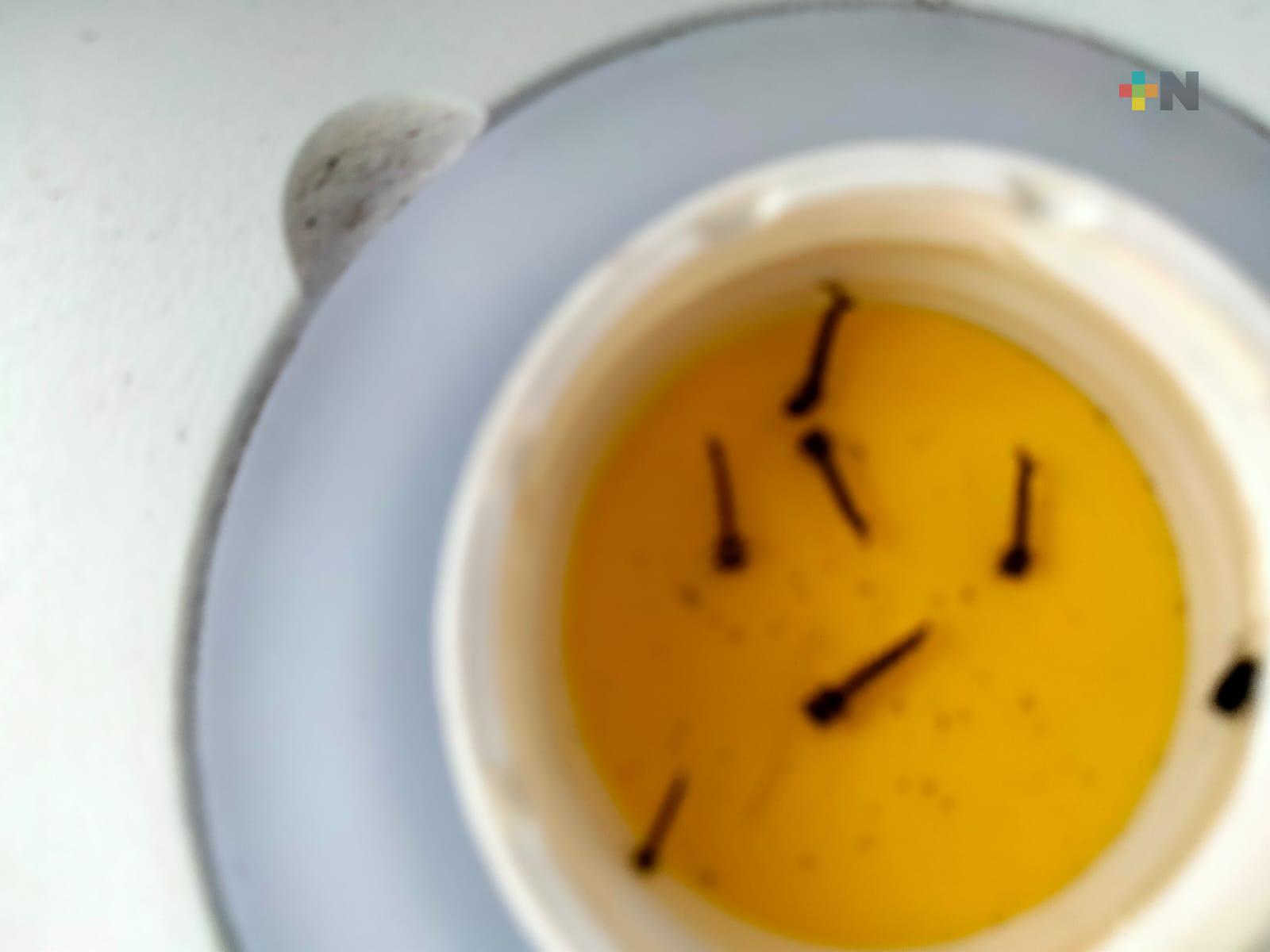 Secretaría de Salud instala trampas para prevenir dengue