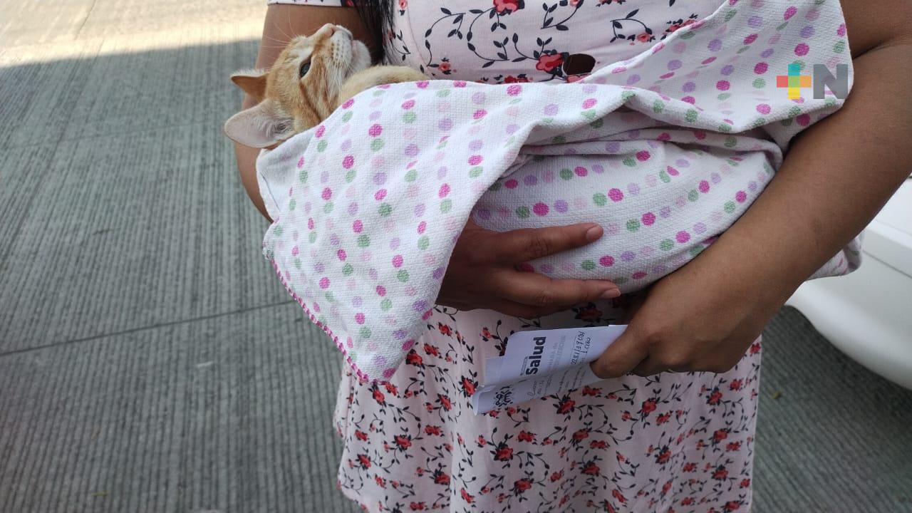 Realizan jornada de esterilización en congregación de San Antonio Paso del Toro