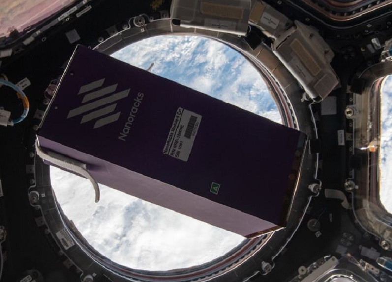 Los «cultivos cósmicos» pueden ayudar a nuestra alimentación