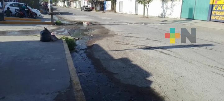 Exigen atender escurrimiento de aguas negras en colonia Dos Caminos, en Veracruz
