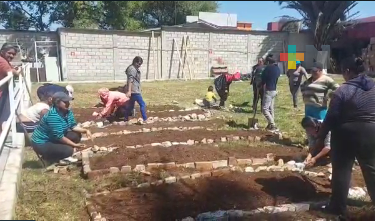 Llevan a cabo huerto familiar en hospital IMSS-Bienestar de Huayacocotla