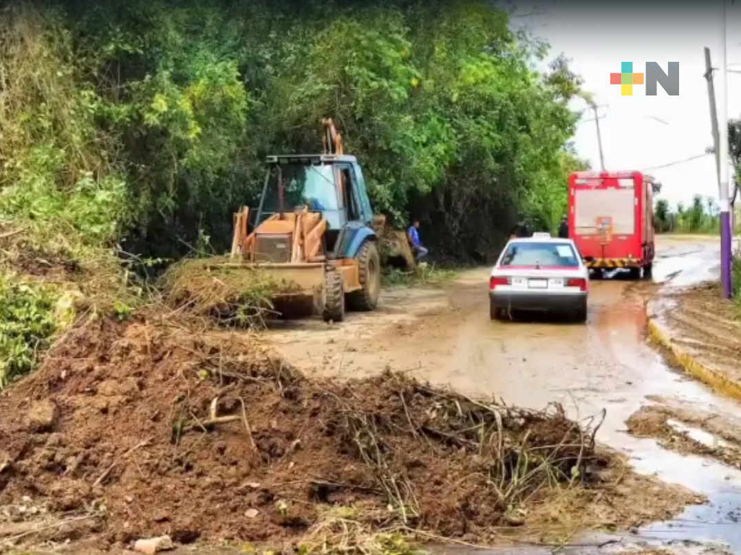 Caída de árboles y deslaves dejaron las intensas lluvias en Chicontepec