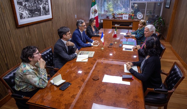 Perfilan México y Francia cooperación en cultivos sustentables de café, palma de aceite y uva