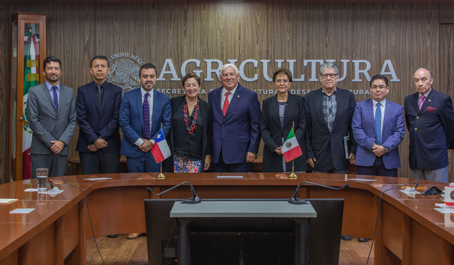 Revisan México y Chile protocolos sanitarios para incrementar comercio agroalimentario bilateral