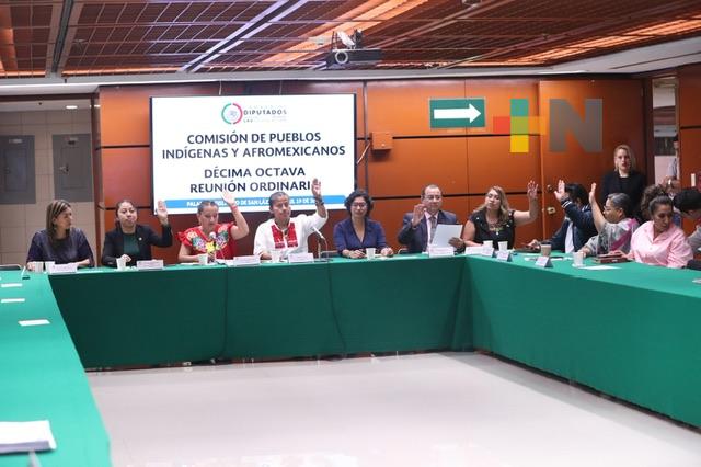 Comisión aprueba once dictámenes que buscan mejorar condiciones de pueblos indígenas y afromexicanos