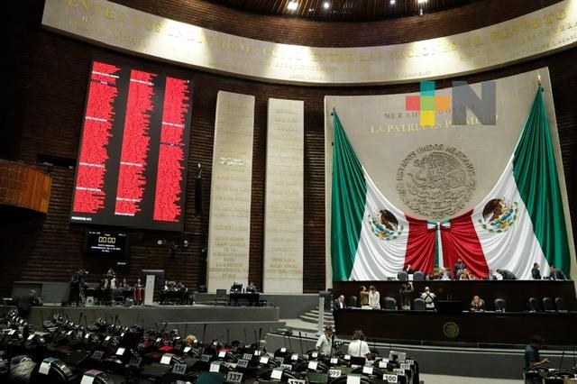 Diputadas y diputados aprueban reformas en materia de tala ilegal