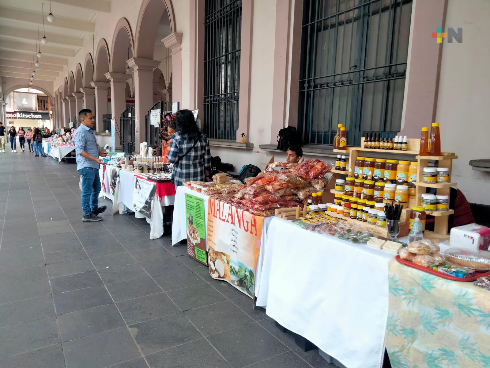 En Xalapa, artesanos participan en la Expo Primavera