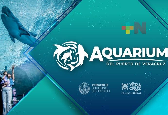 Superando expectativas, registra Aquarium de Veracruz 709 mil 759 visitas