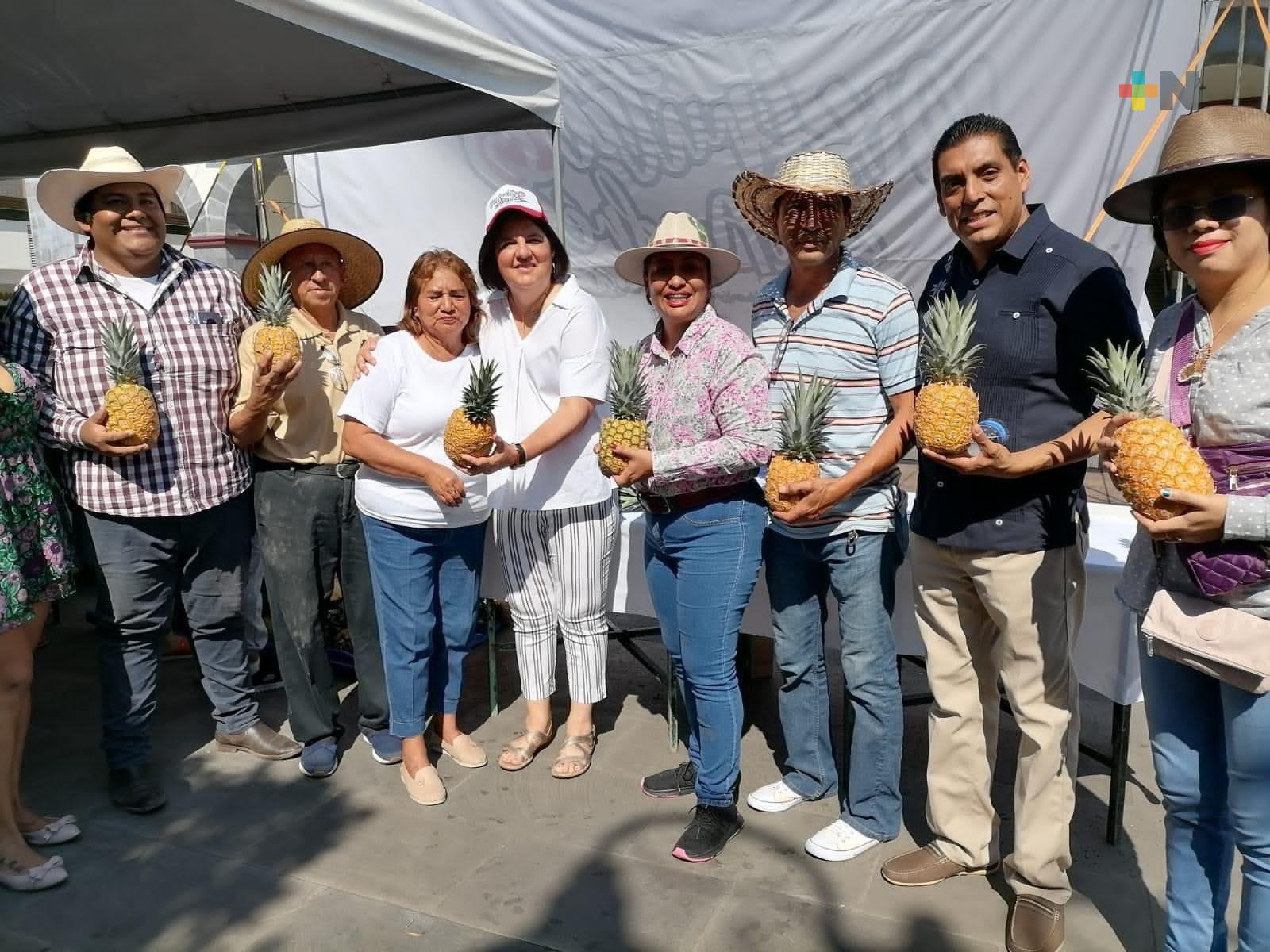 Ante crisis en precios, diputada gestionará incorporar a piñeros a programa de fertilizantes