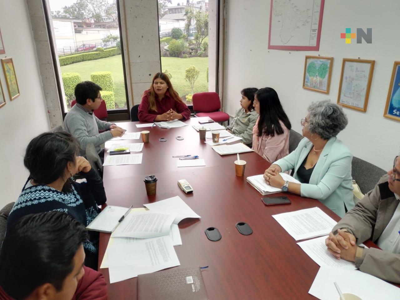 Ley de maíz nativo garantizará la preservación de un grano de calidad: Gisela López