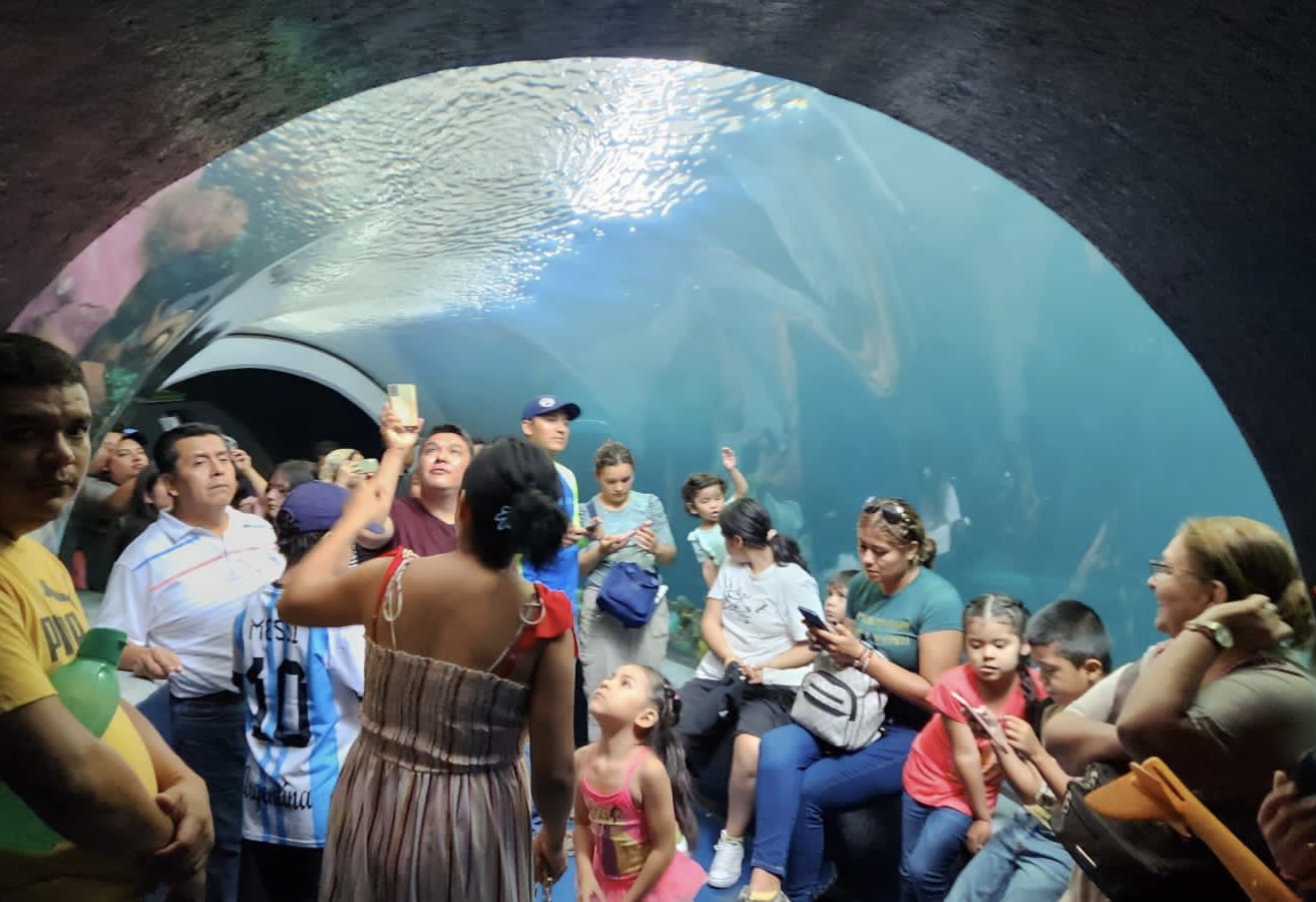 Abarrotan turistas el Aquarium del puerto en Semana Santa