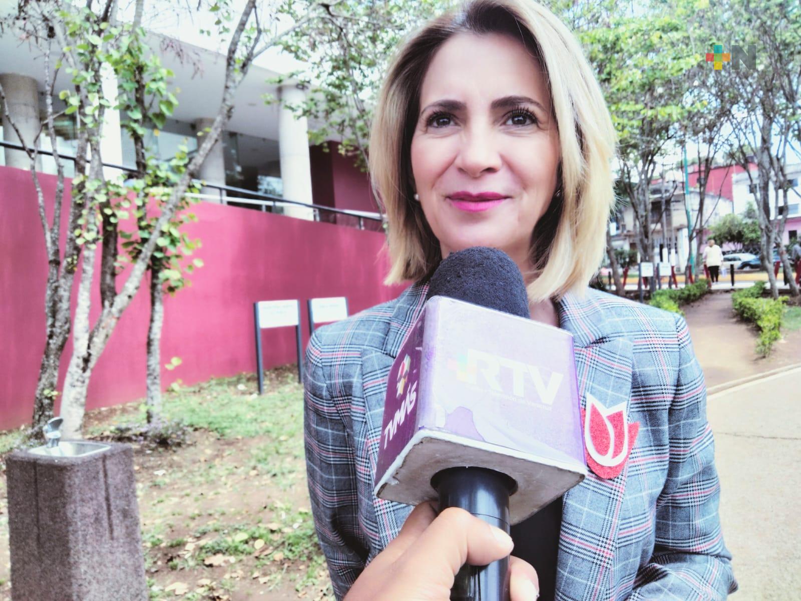 Veracruz se sumaría a estados del país que han legislado para sancionar y prevenir violencia vicaria