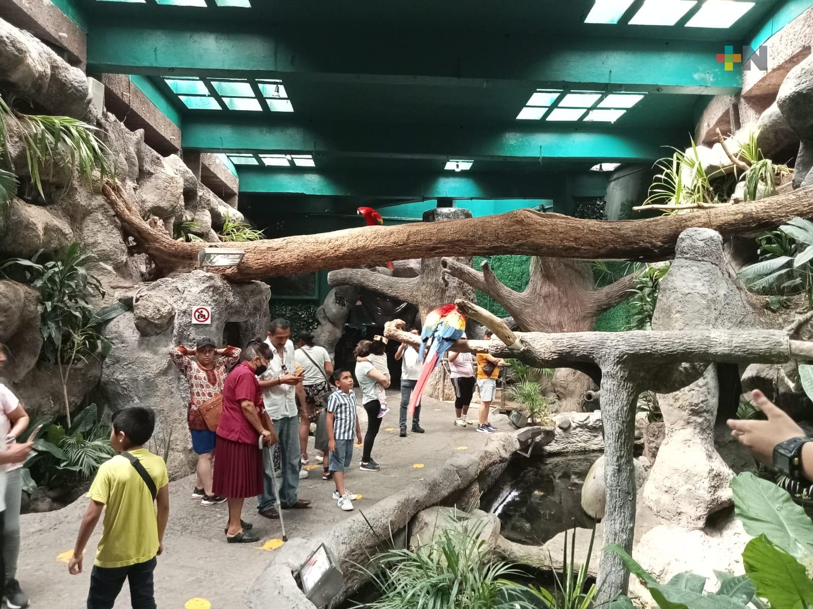 Por carnaval, Aquarium de Veracruz hará cambios en sus horarios