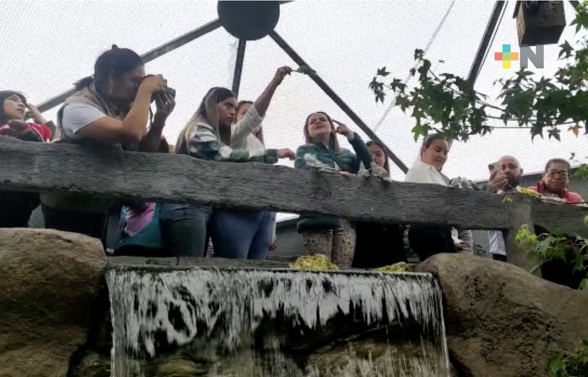 Conmemoran segundo aniversario del Cosco Parque Recreativo