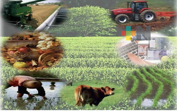 En Medellín de Bravo realizarán la Feria Agropecuaria 2023