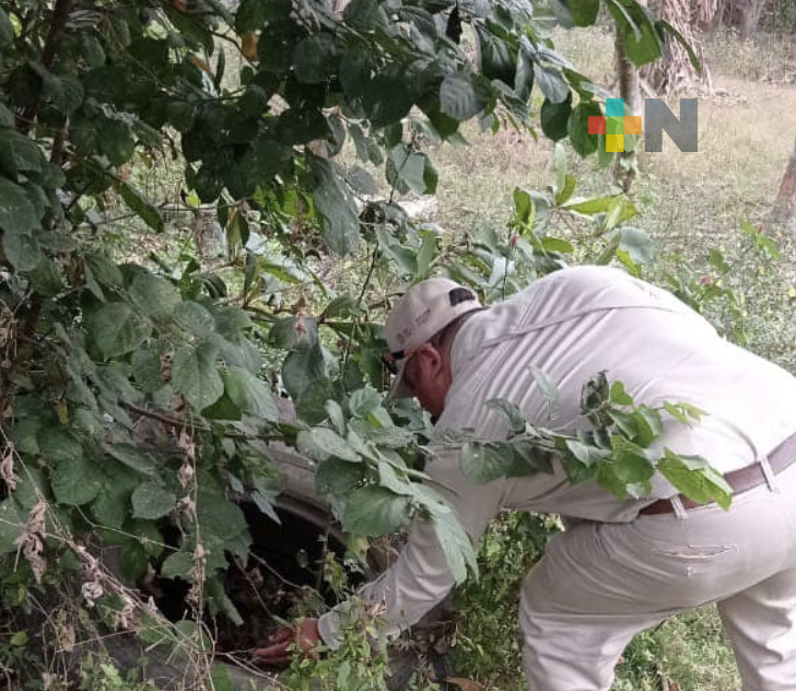 Veracruz pionero en estrategia contra la transmisión de la enfermedad de chagas