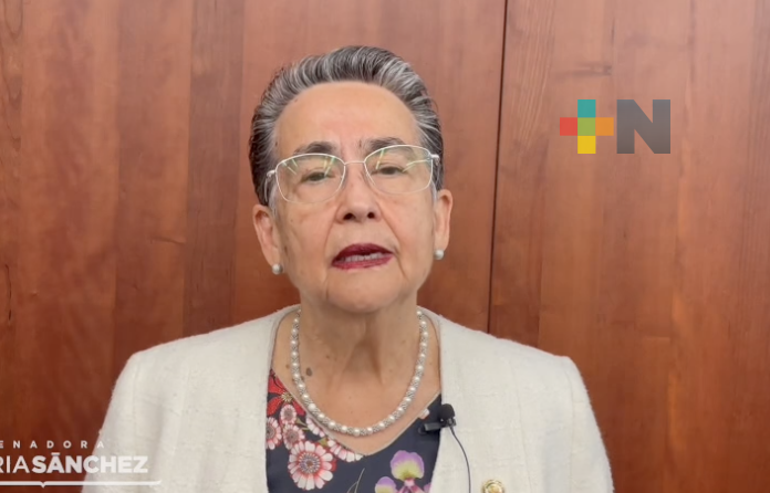 Legisladora por Veracruz, Gloria Sánchez explica lo que sucede en el Senado