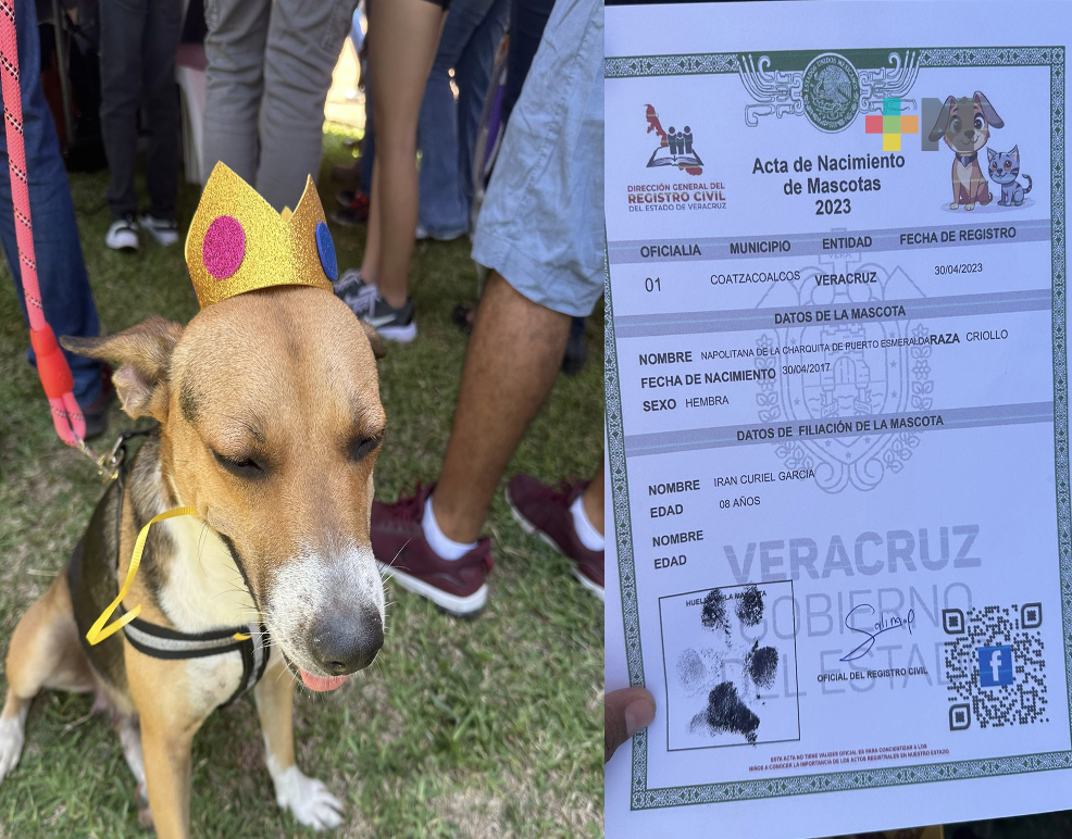 Adoptan a perrita influencer en Coatza, la registran como Napolitana de la Charquita