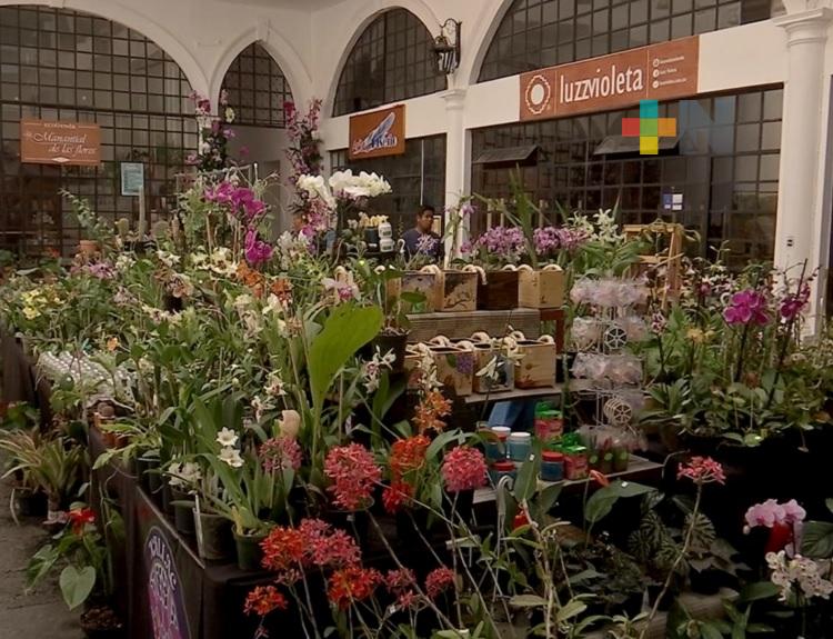 En Coatepec se realiza el Festival Internacional de la Orquídea 2023