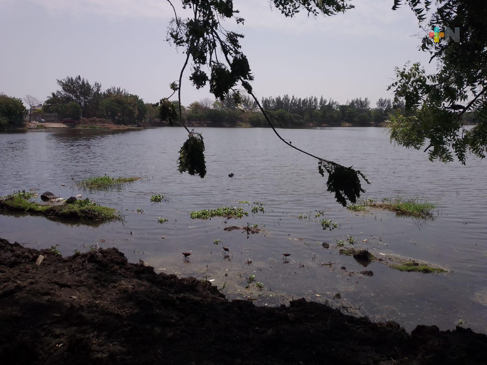 Vecinos agradecidos por saneamiento de laguna Lagartos