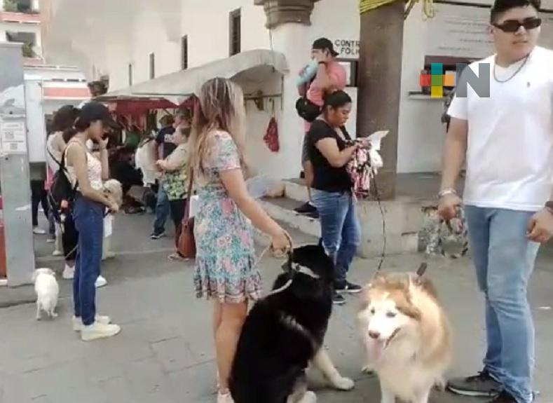 Largas filas para registrar mascotas en municipio de Tuxpan