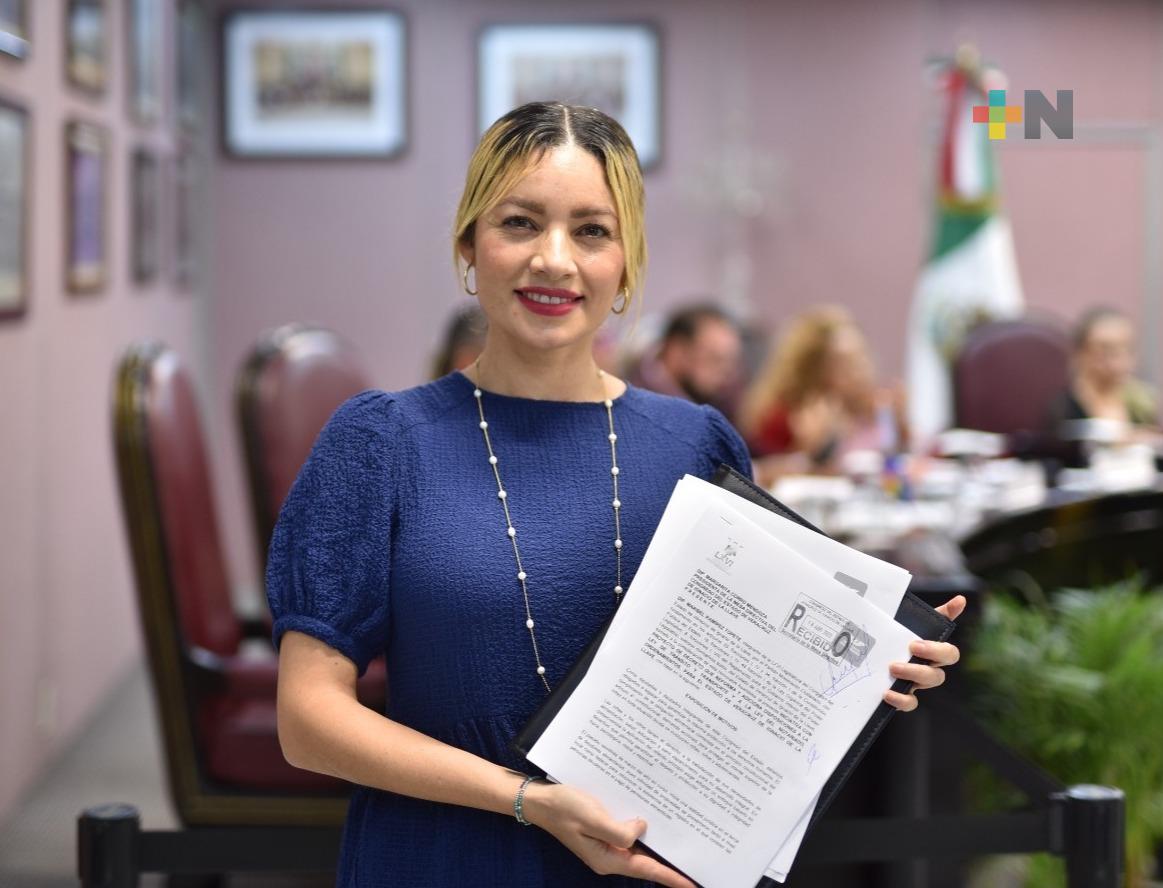 Presenta diputada nueva iniciativa en materia de deudores alimentarios