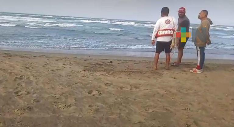 Reportan ahogado a migrante hondureño en playa de Coatzacoalcos
